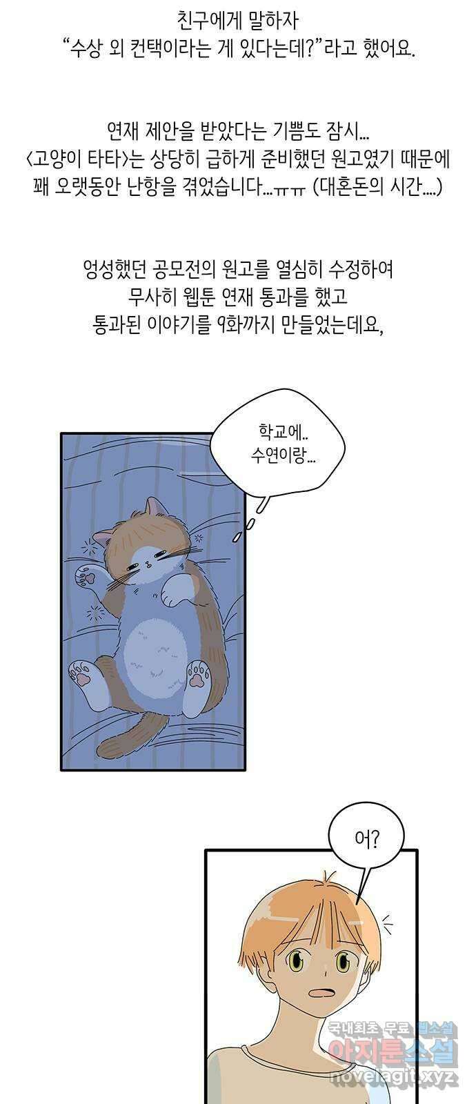 고양이 타타 후기 6
