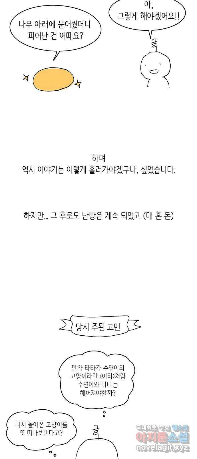 고양이 타타 후기 9