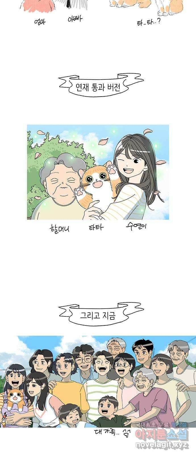 고양이 타타 후기 14