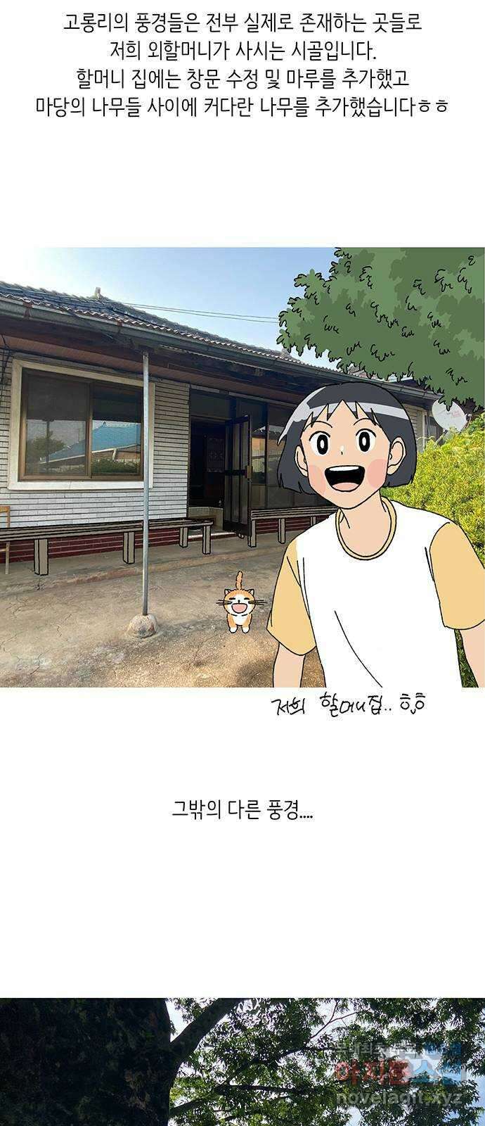 고양이 타타 후기 15