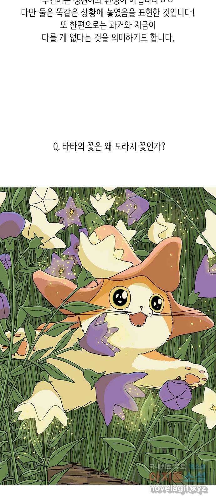 고양이 타타 후기 21