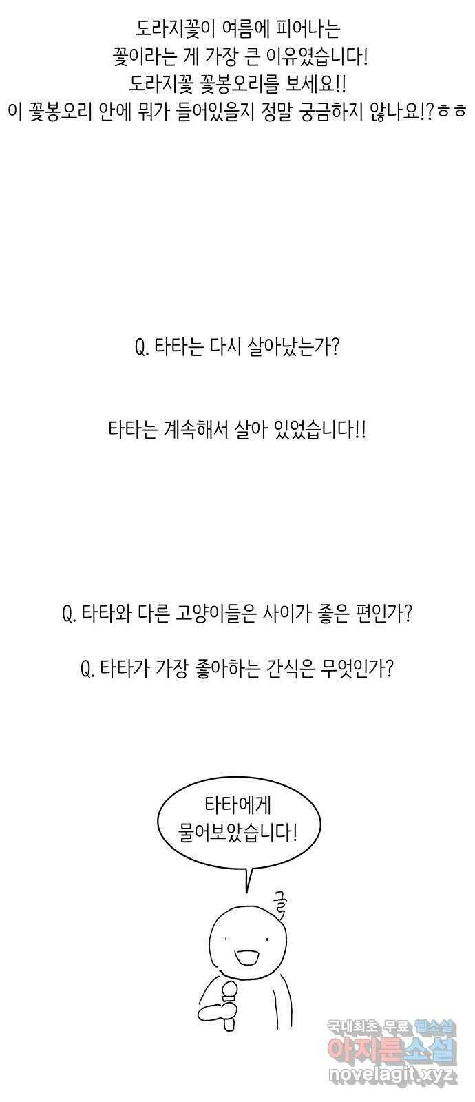 고양이 타타 후기 22
