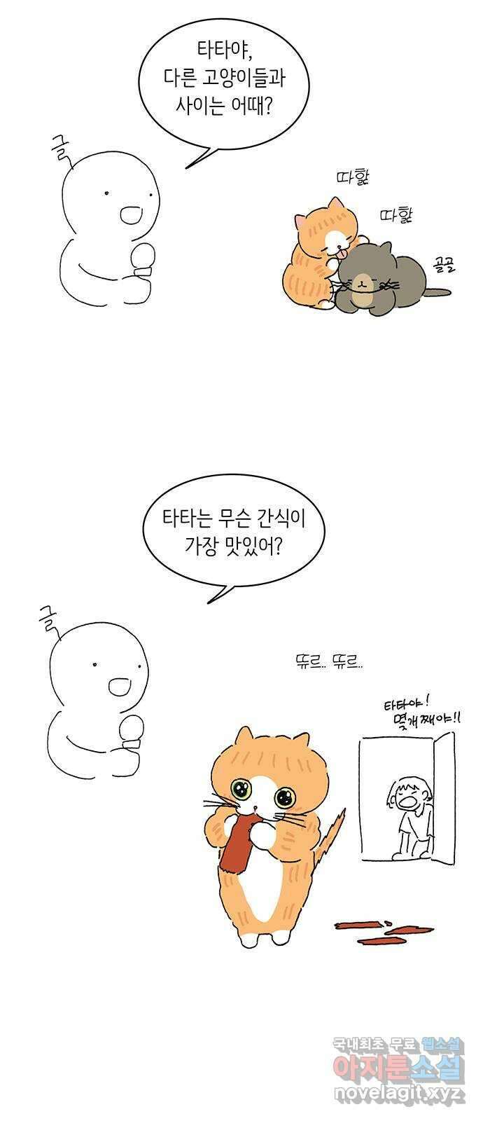 고양이 타타 후기 23