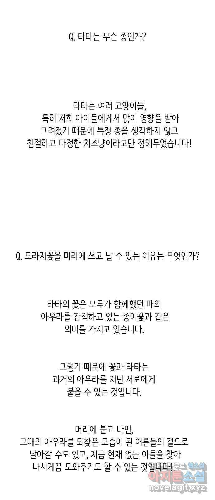 고양이 타타 후기 24