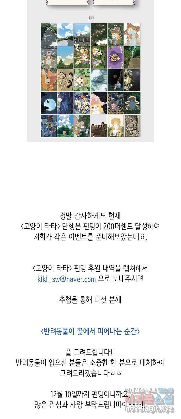 고양이 타타 후기 28