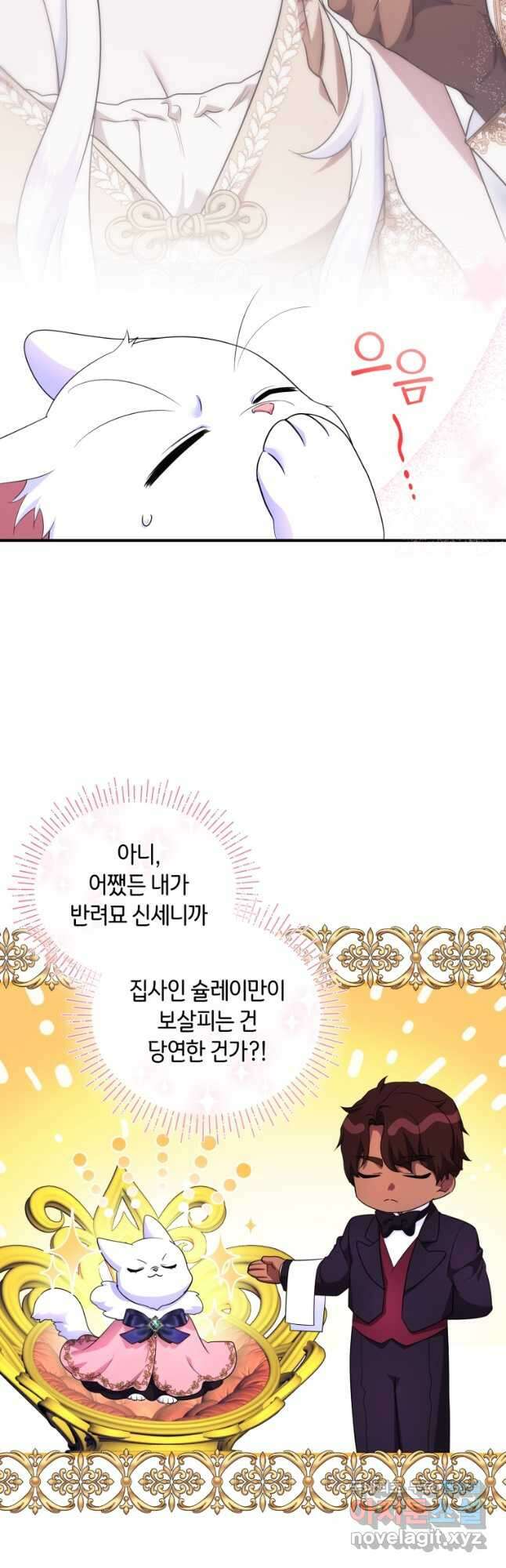 술탄의 귀한 고양이가 되었습니다 30화 3