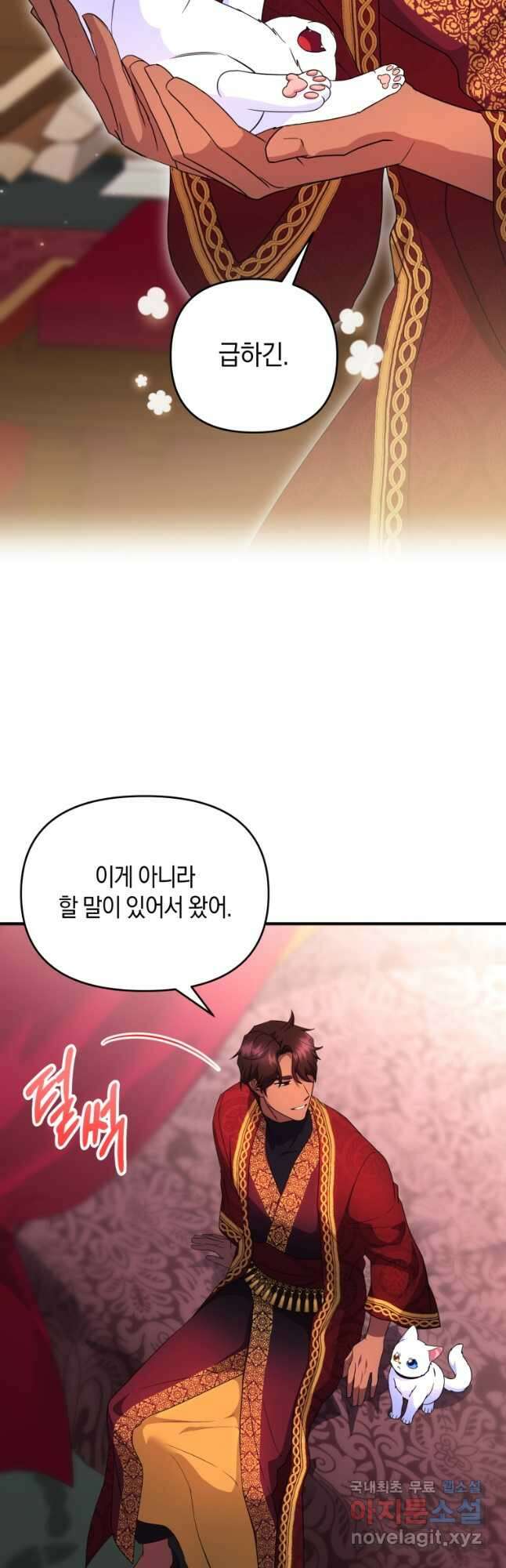술탄의 귀한 고양이가 되었습니다 30화 12