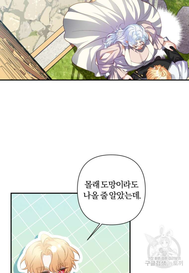 이번엔 남주를 바꾸겠습니다 16화 15