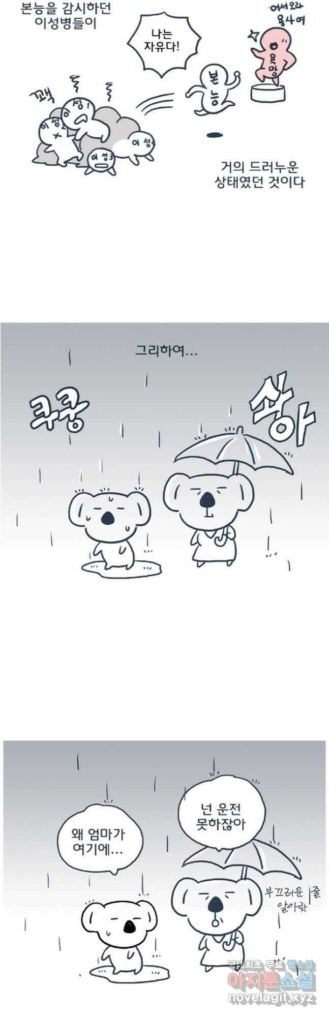 코알랄라 제주도먹담1 5