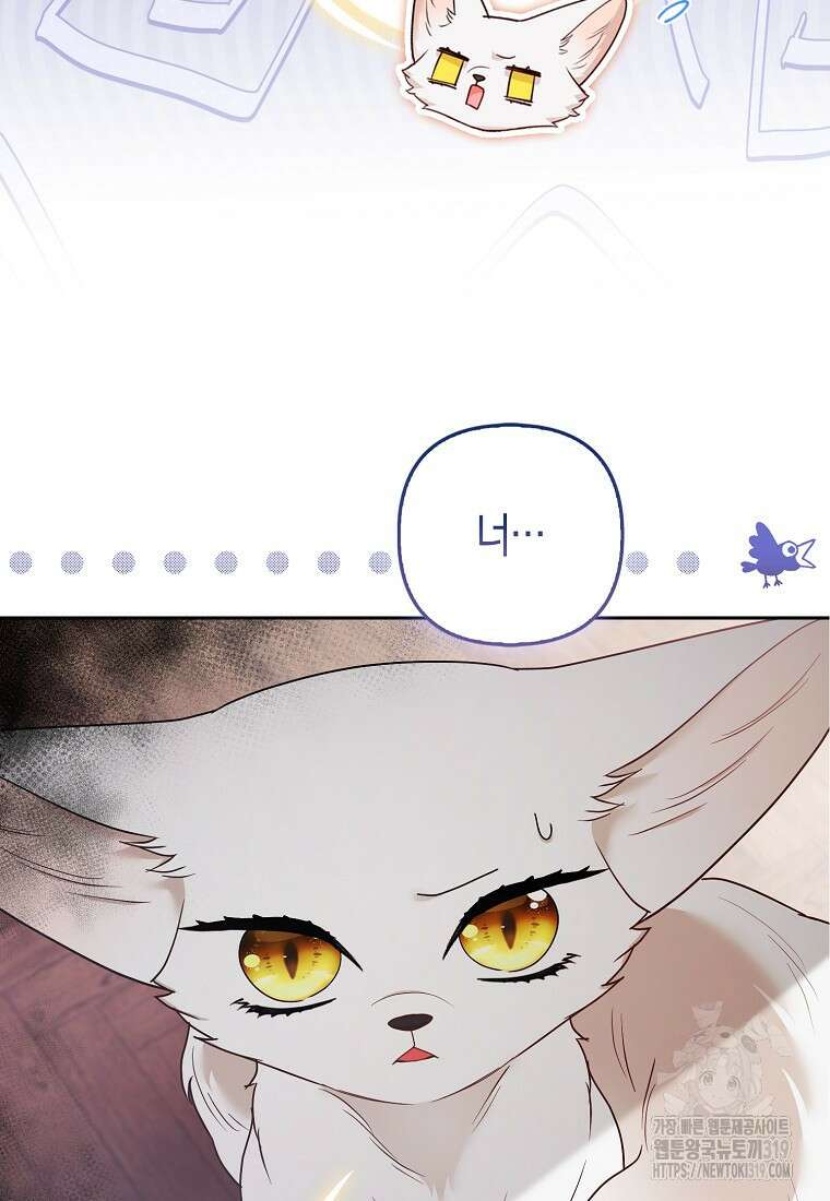 대공가의 여우 황녀님 28화 47