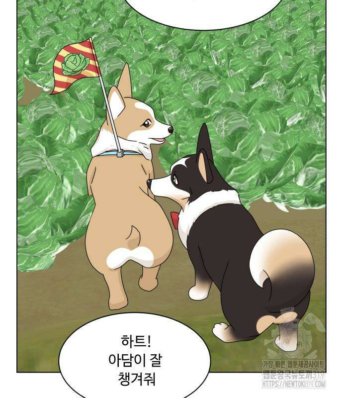 개를 낳았다 외전 7화 19