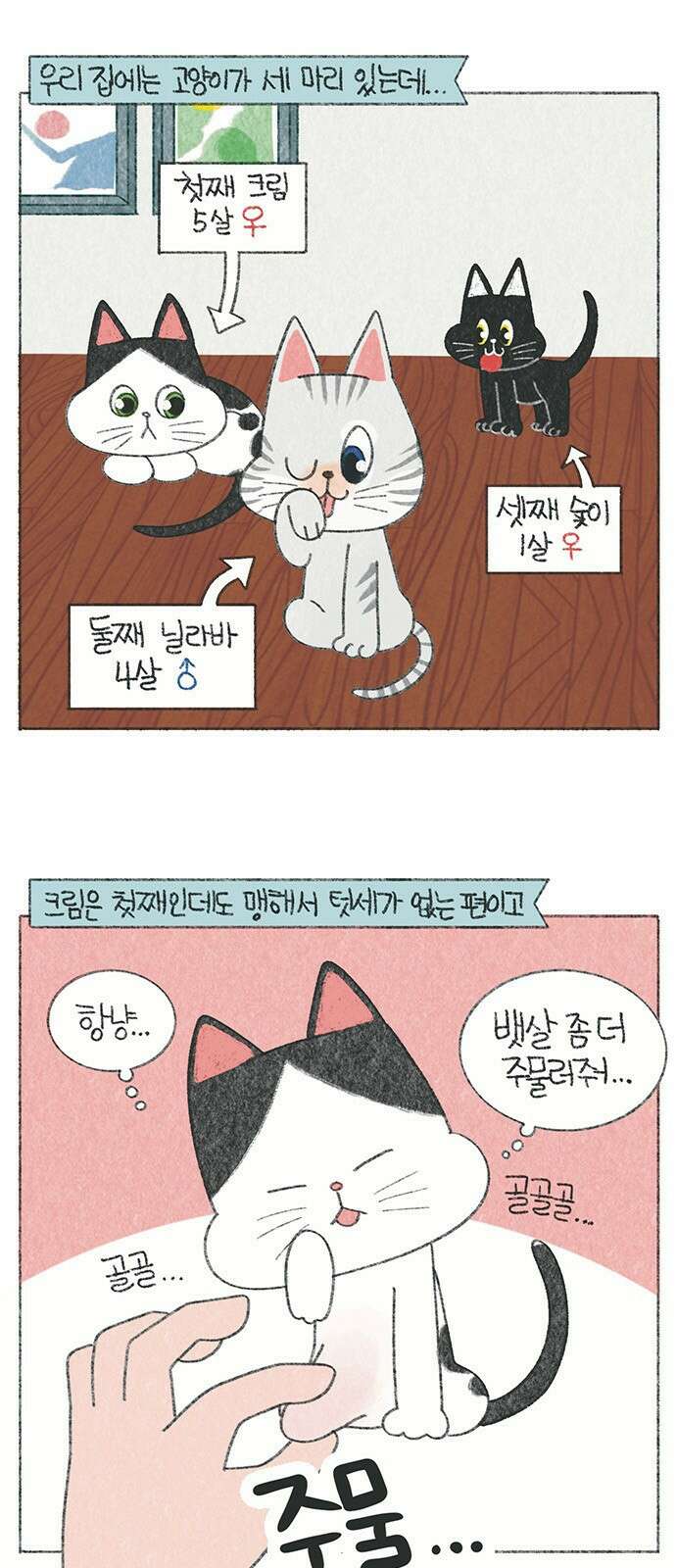 마님이네 미국 시골집 이야기 39화 이제는 싸우지 마 1