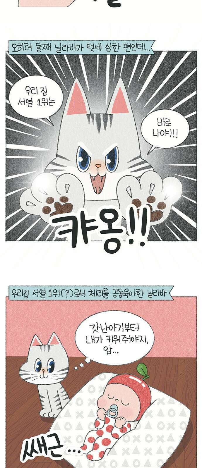 마님이네 미국 시골집 이야기 39화 이제는 싸우지 마 2