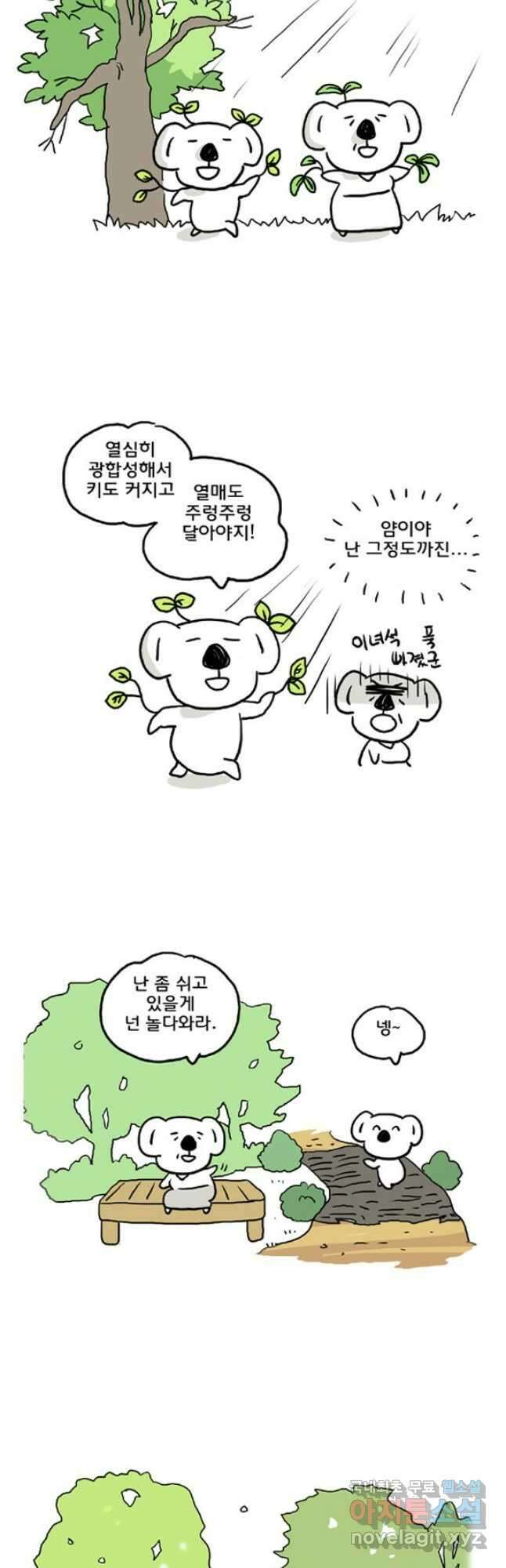 코알랄라 제주도먹담3 14