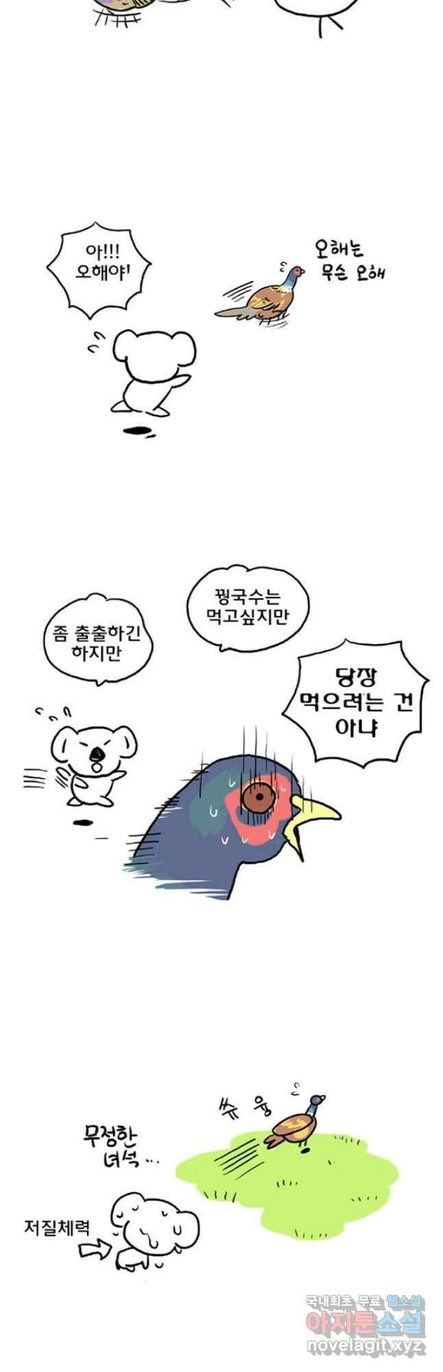 코알랄라 제주도먹담3 17