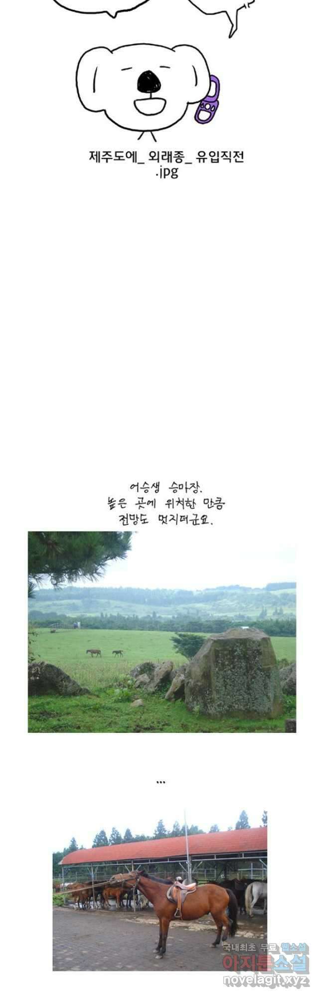 코알랄라 제주도먹담3 26