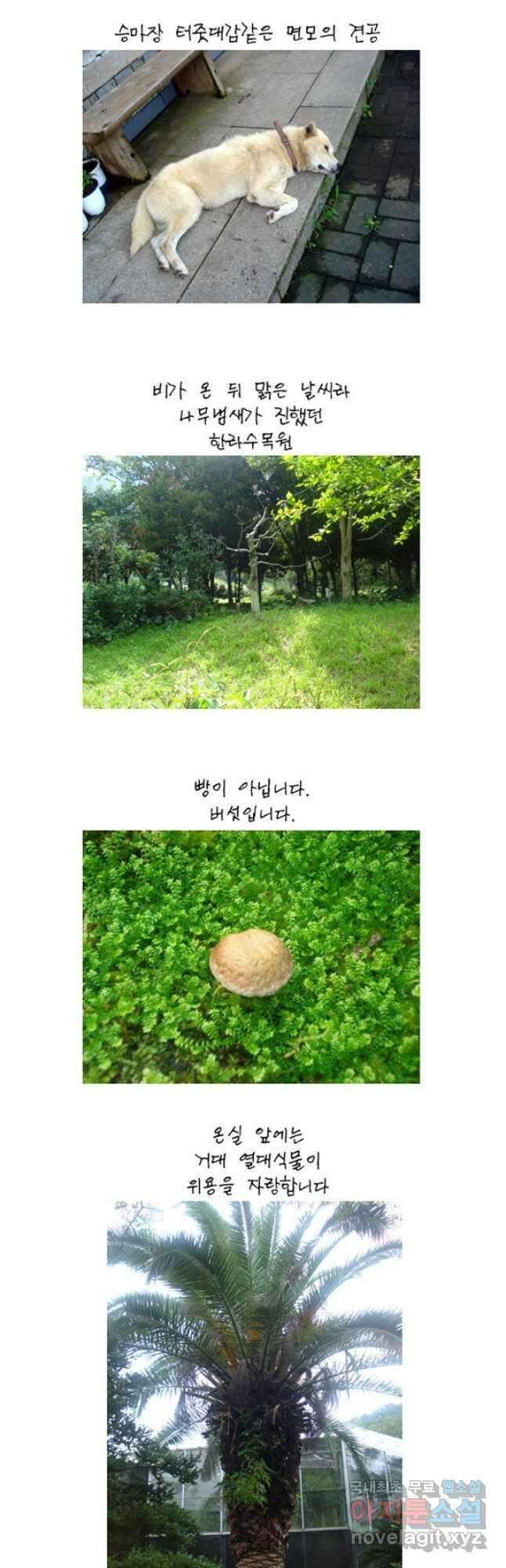 코알랄라 제주도먹담3 27