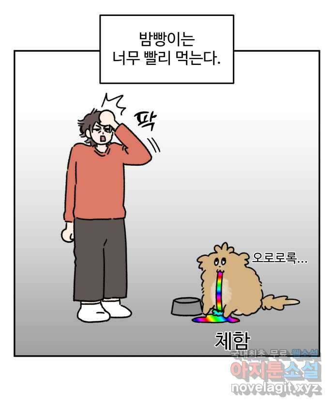 강아지는 멍멍하고 짖지 않아! 56화 -  굶긴 적 없습니다 6