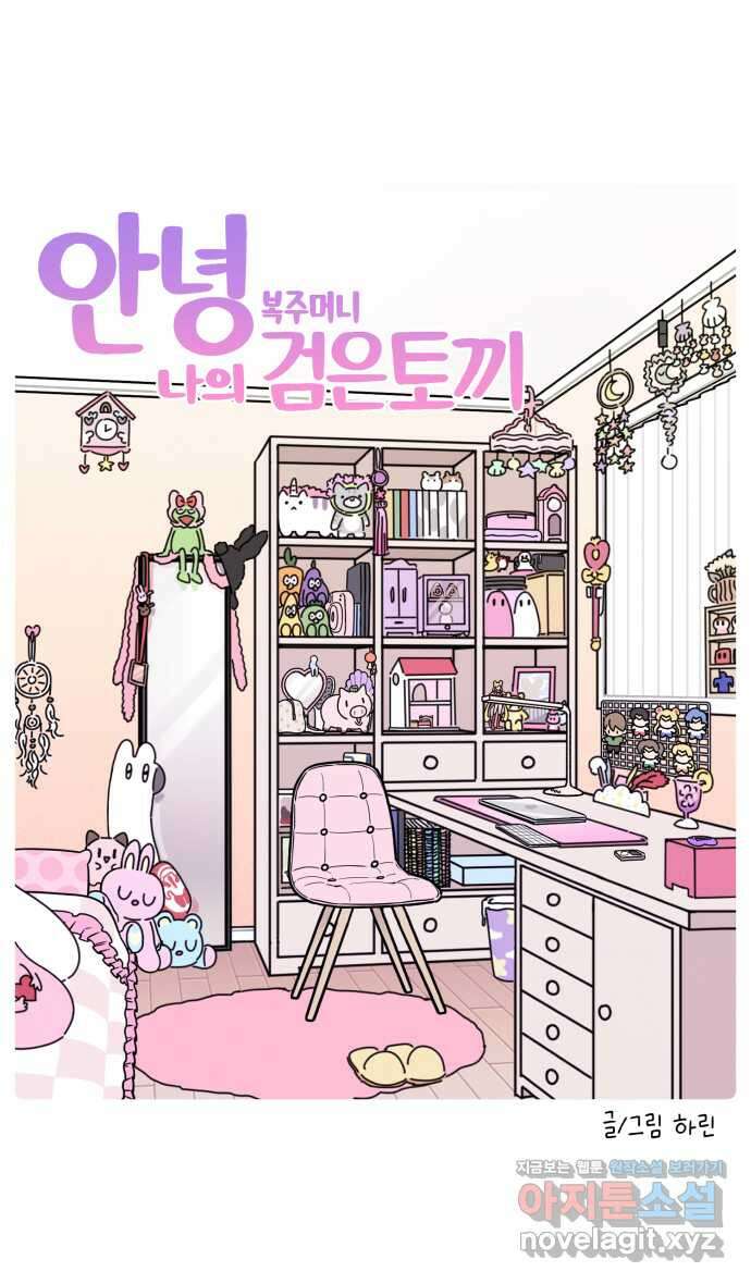 안녕, 나의 수집 105. 복주머니 검은 토끼 (2) 4