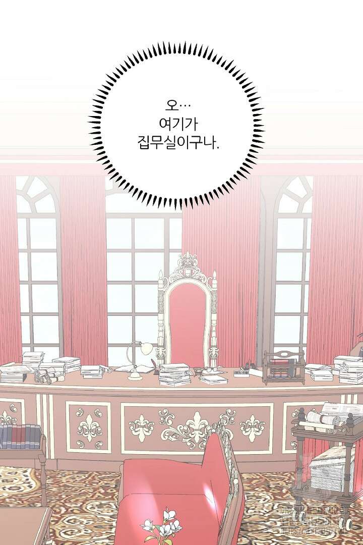 공작님의 모든 것 22화 11