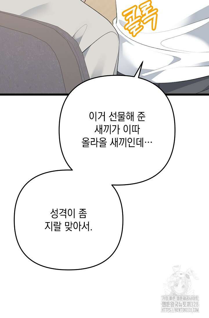 햇빛 샤워 42화 53