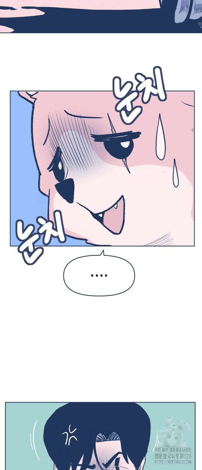 반려짐승 19화 9