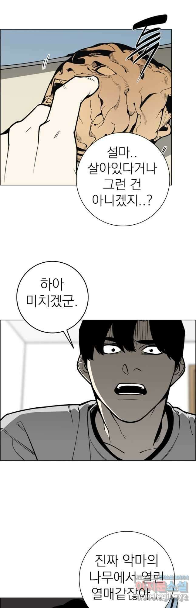 돈나무 54화 4