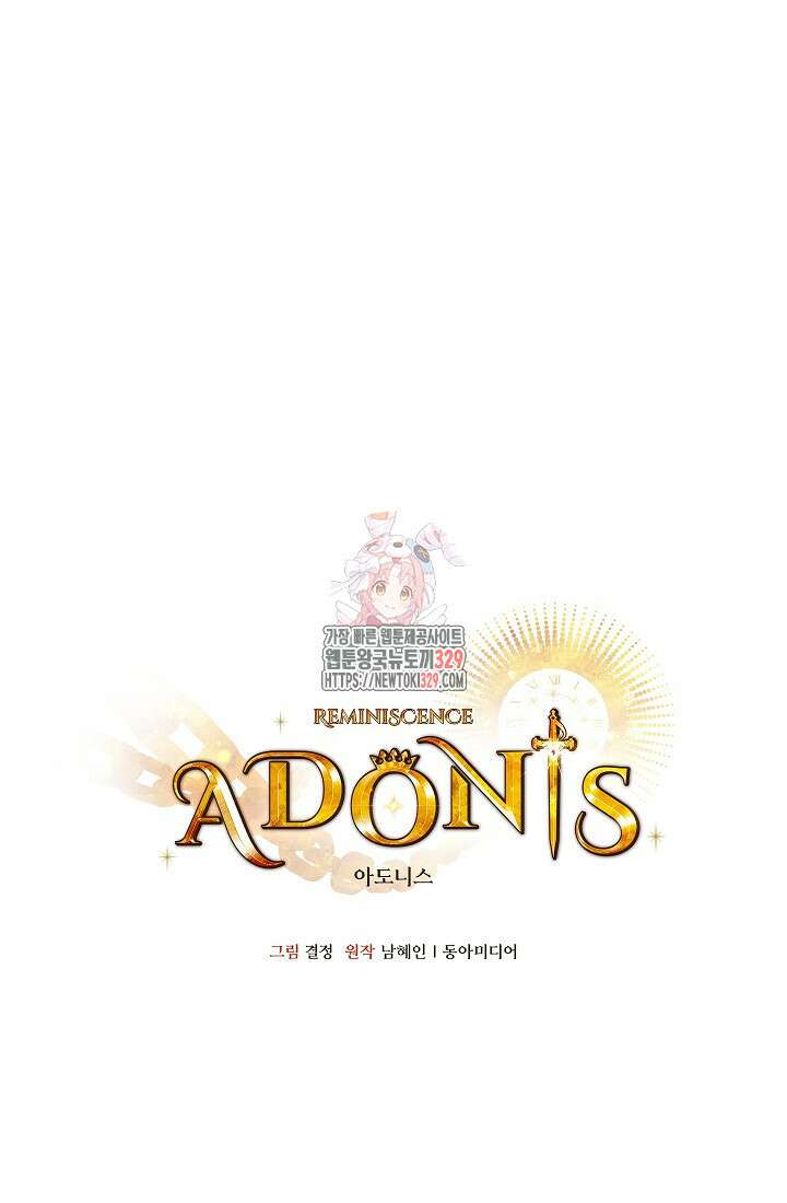 아도니스 247화 1