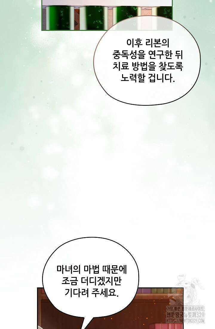 아도니스 247화 10