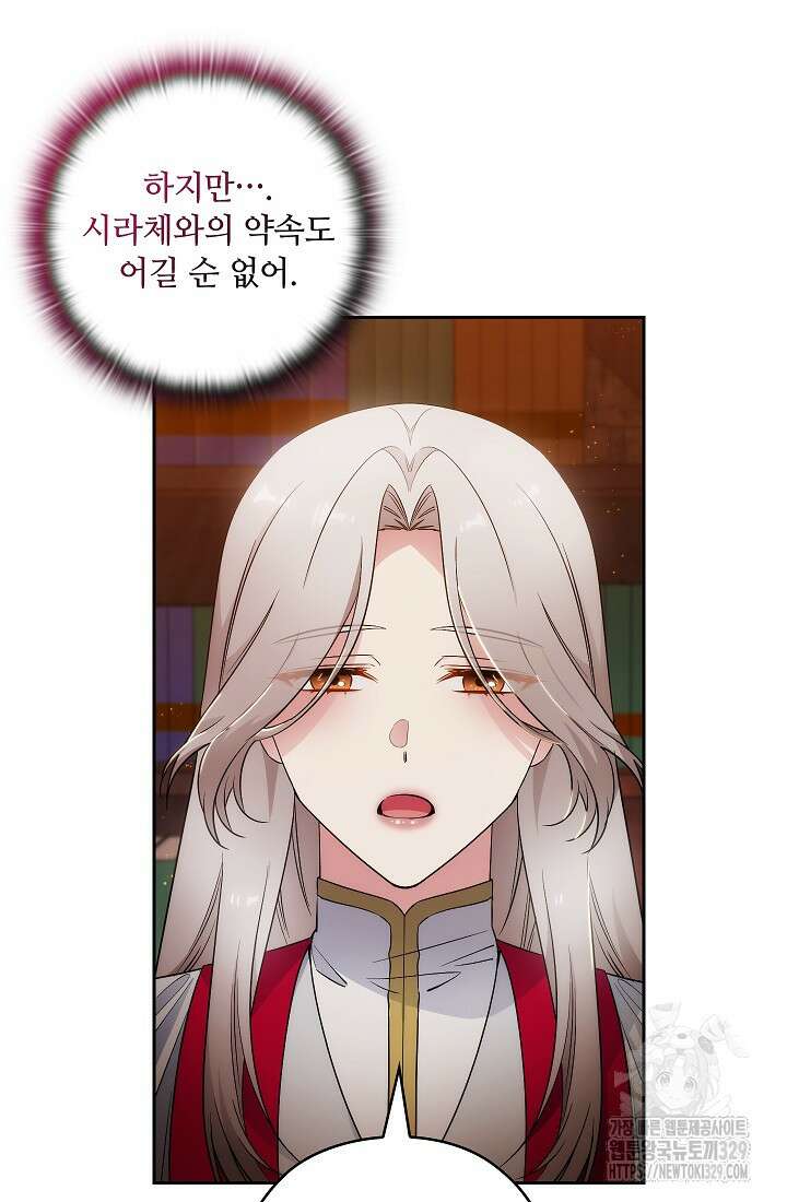 아도니스 247화 20