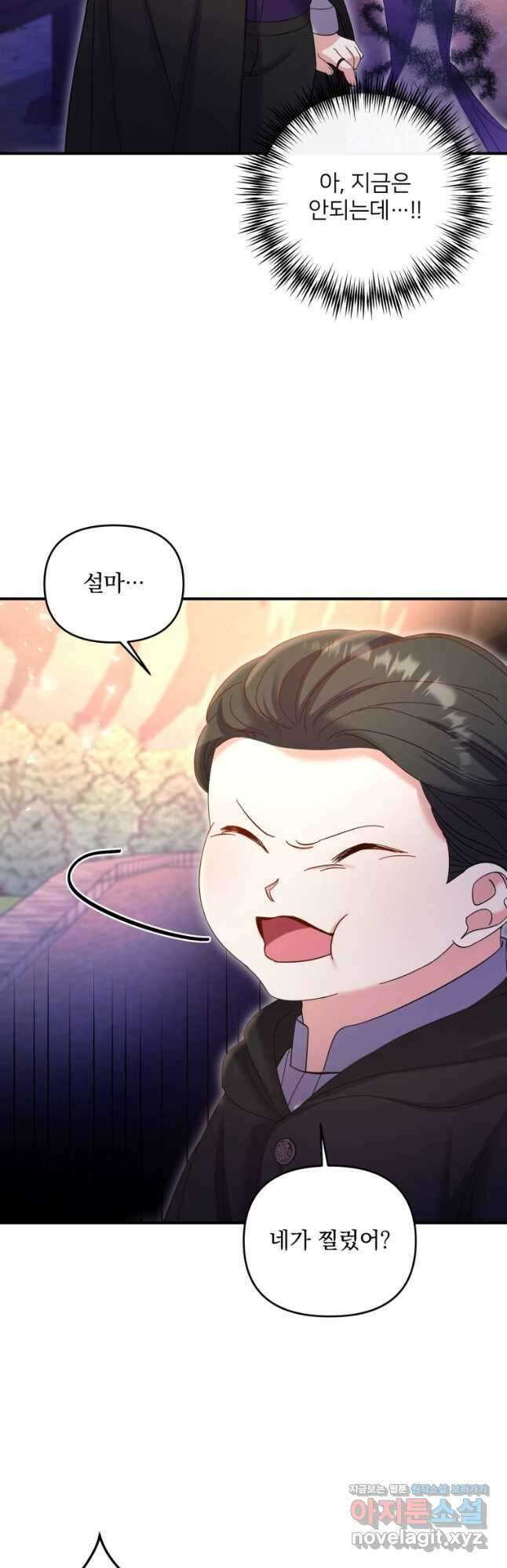 이번엔 남주를 바꾸겠습니다 36화 11