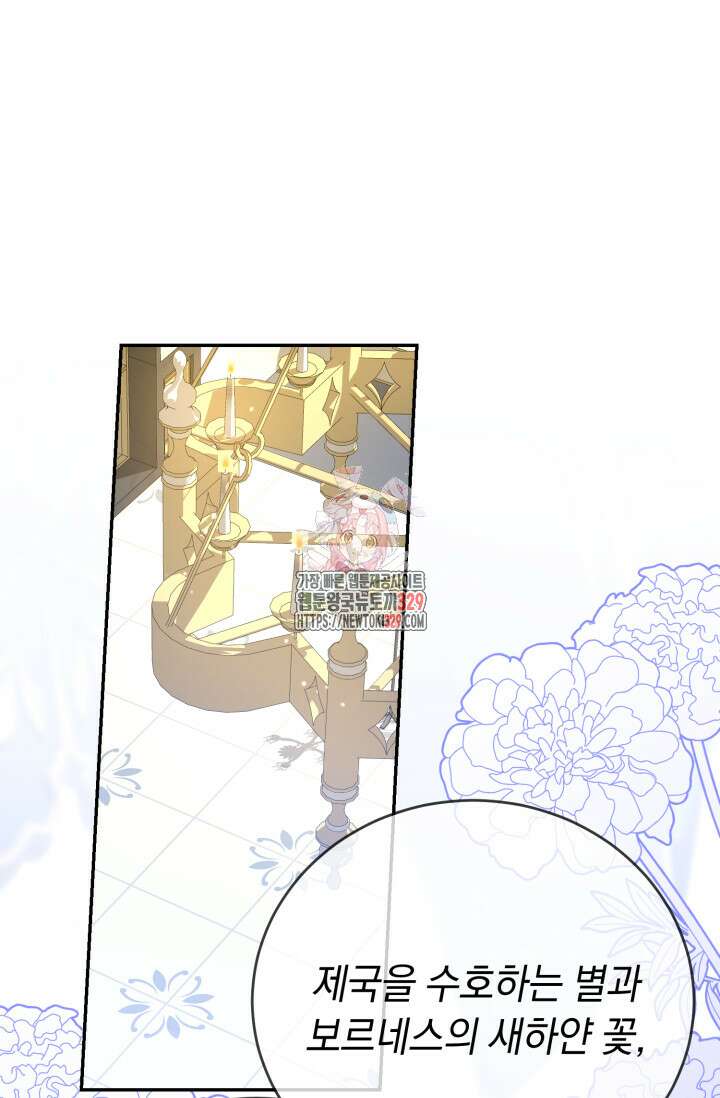 레이디는 싫습니다 19화 1