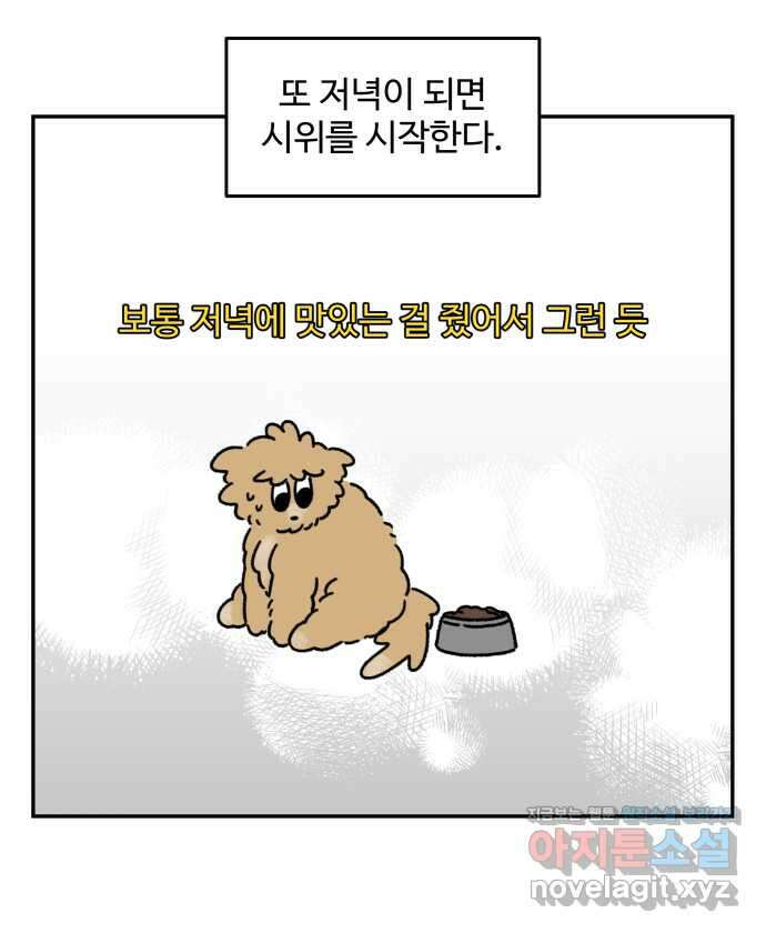 강아지는 멍멍하고 짖지 않아! 78화 - 편식 강아지 2 4