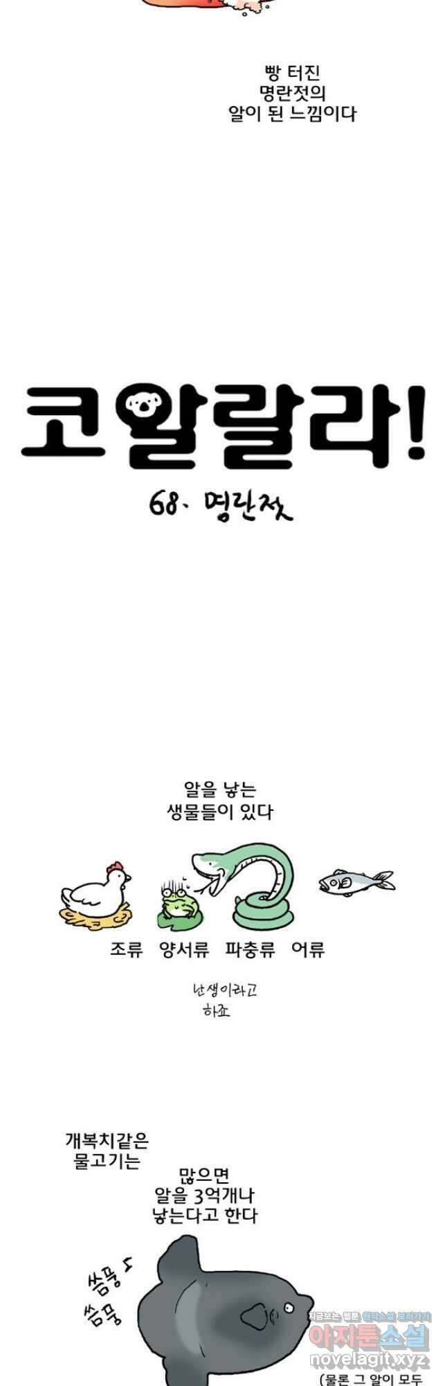 코알랄라 68화 명란젓 2