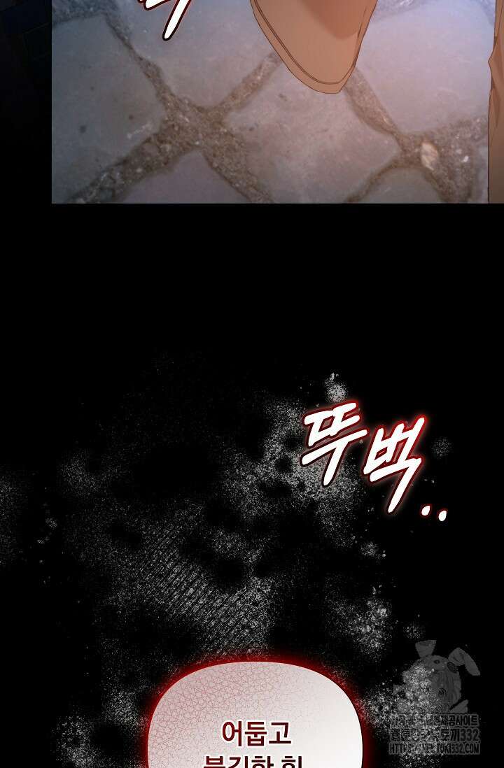 흑막 남주의 시한부 유모입니다 33화 7