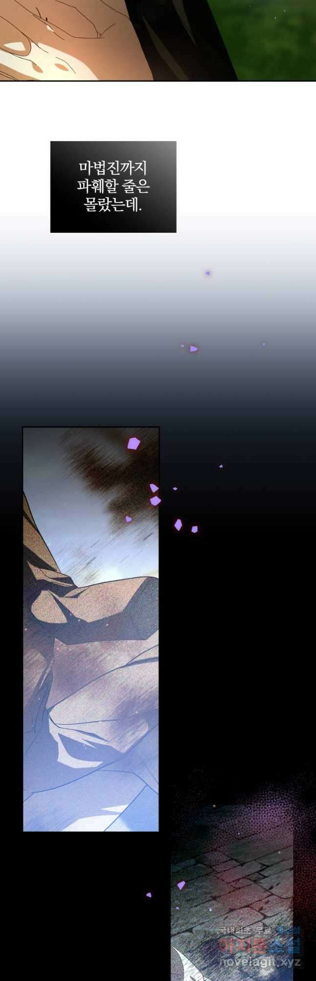 미친 악당의 품으로 떨어졌다 50화 63
