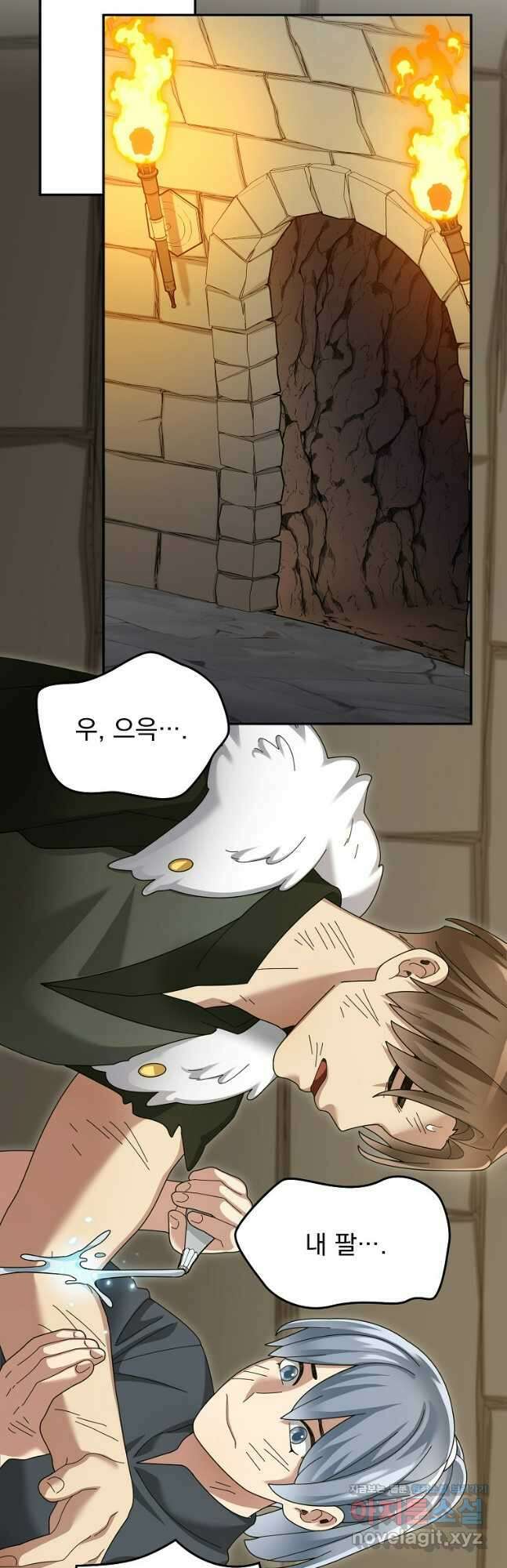 뉴비가 너무 강함 91화 47