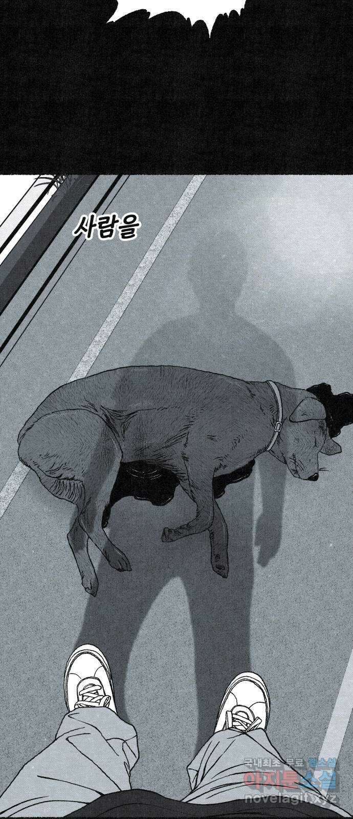 벌집 20화 109
