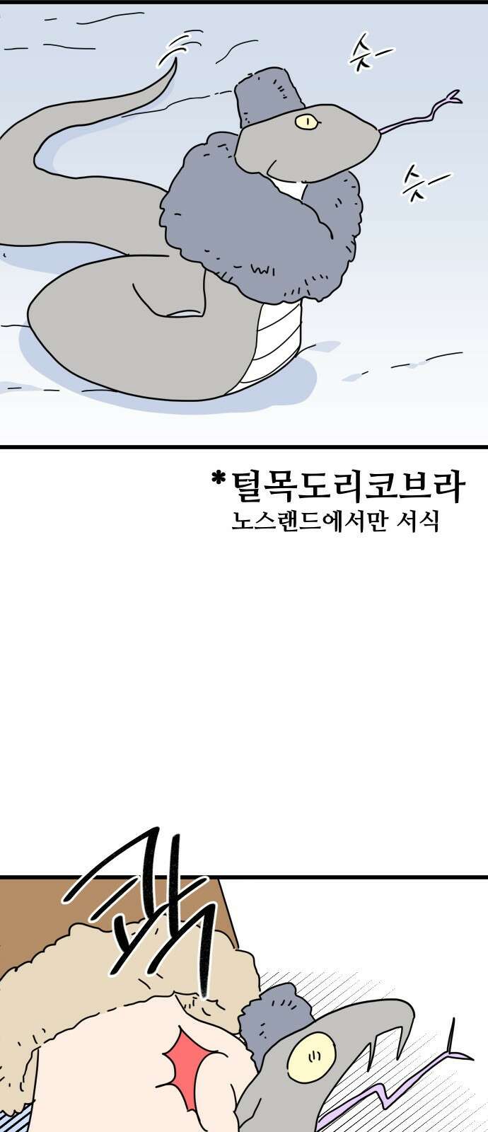 바바리안 영애 프롤로그 : 이 몸 등장! 15