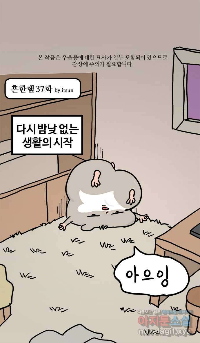 흔한햄 37화: 사고 1