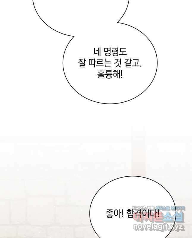 네크로맨서 학교의 소환천재 102화 45