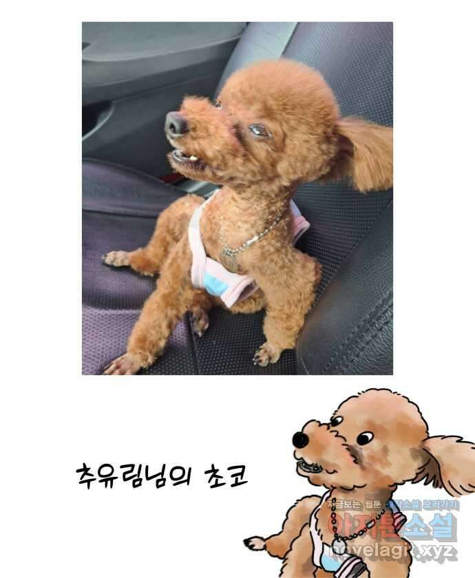 강아지는 멍멍하고 짖지 않아! 94화 - 부끄러워! 22