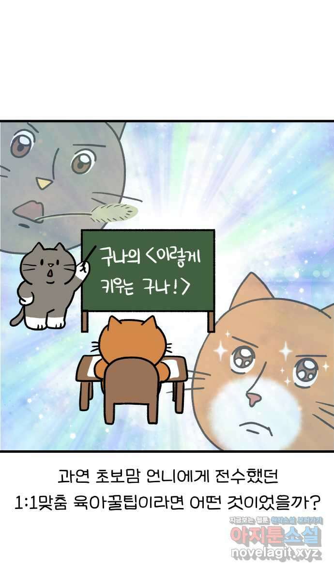 어린이집 다니는 구나 62화. 어서와 이모는 처음이지?(2) 1