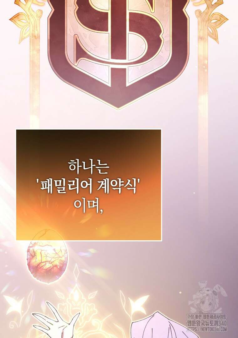 마법학교 앞점멸 천재가 되었다 10화 11