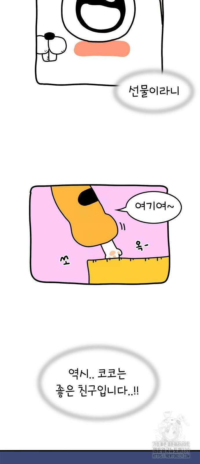 소심한 호랭이 코코 4화 41