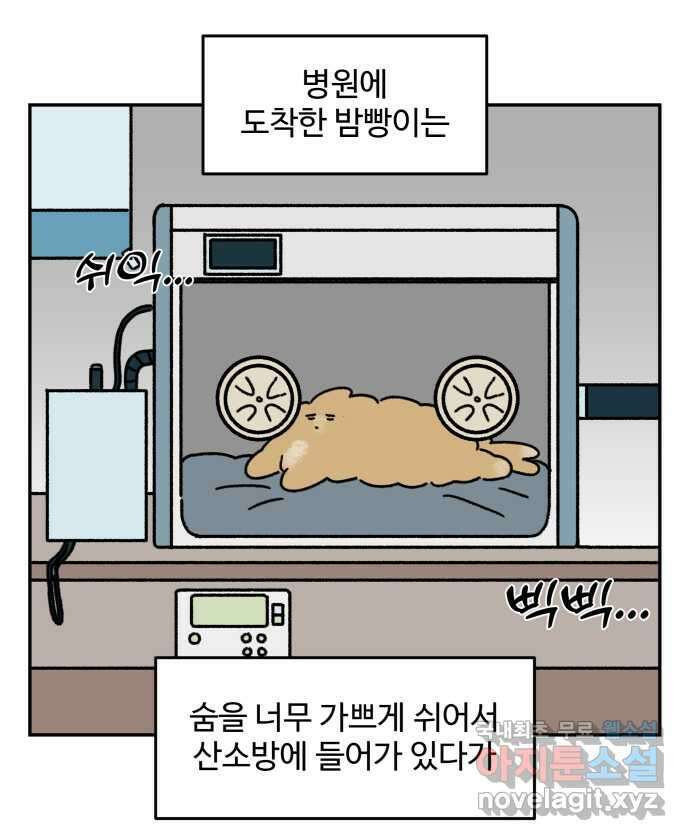 강아지는 멍멍하고 짖지 않아! 102화 - 24시간 동물 병원 15