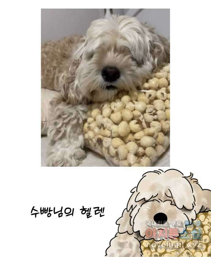 강아지는 멍멍하고 짖지 않아! 102화 - 24시간 동물 병원 24