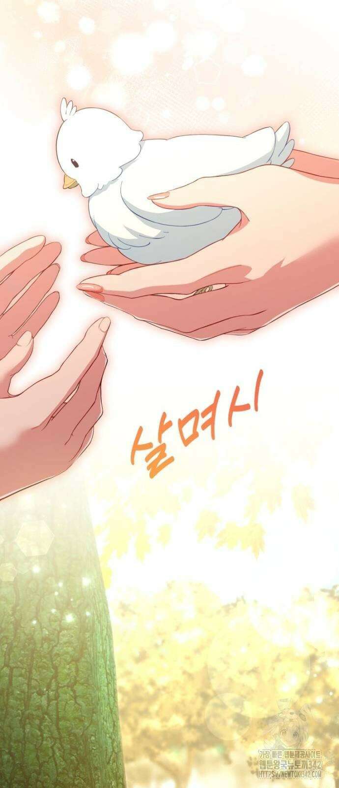 우리는 약혼을 잃었다 12화 5