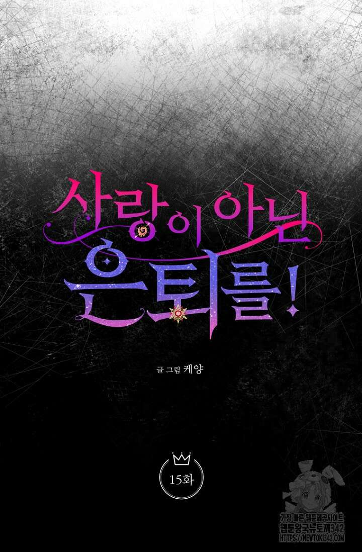 사랑이 아닌 은퇴를 15화 24