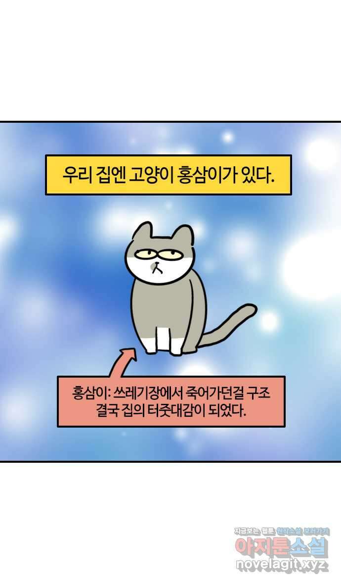 유부 감자 34화 햄스터 레레 (1) 2
